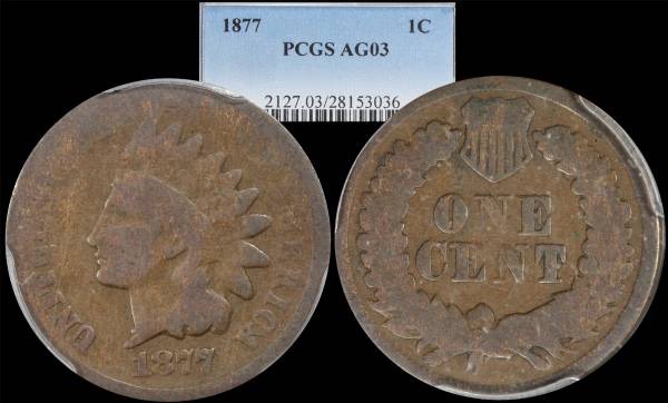 A-Fake-1877-Indian?